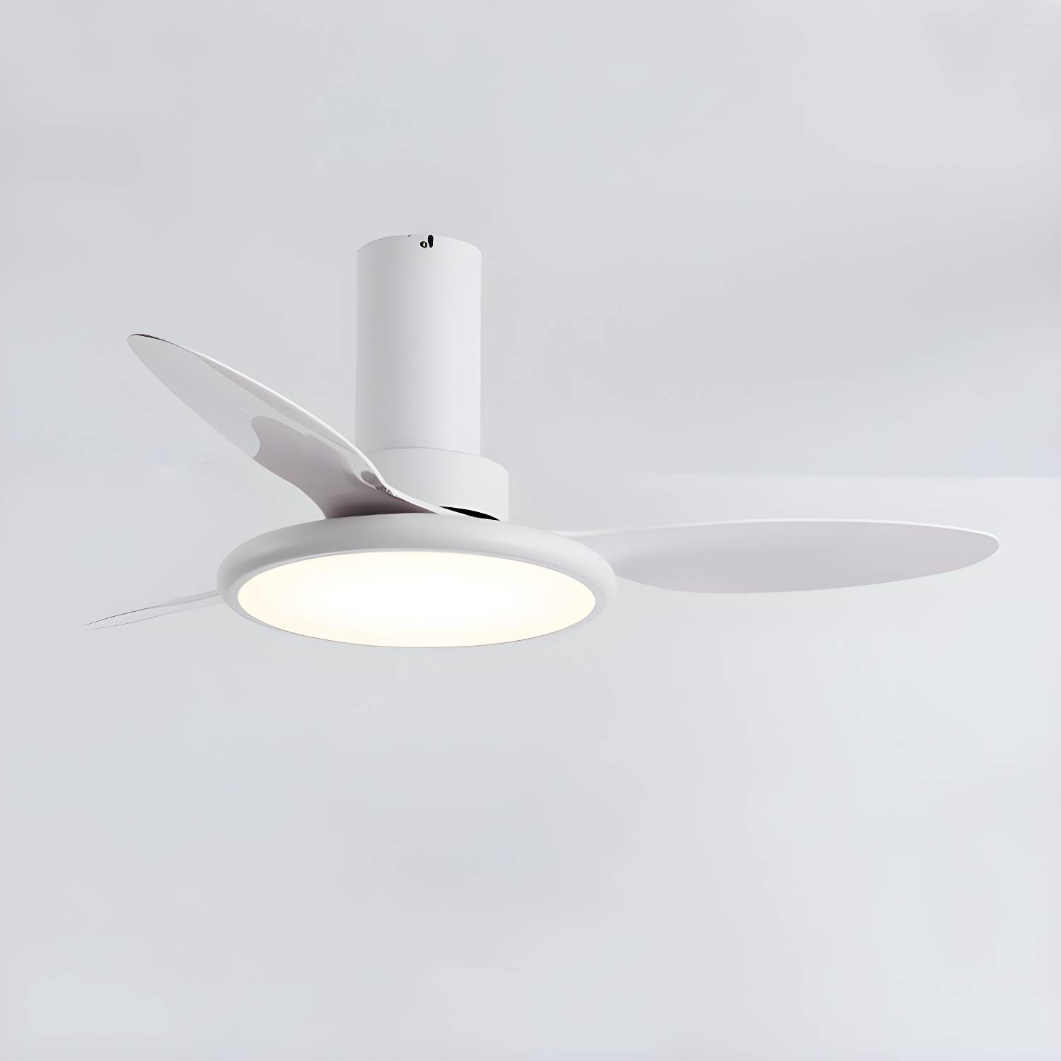 Imported image 3bfc23a02165 5275266.jpg