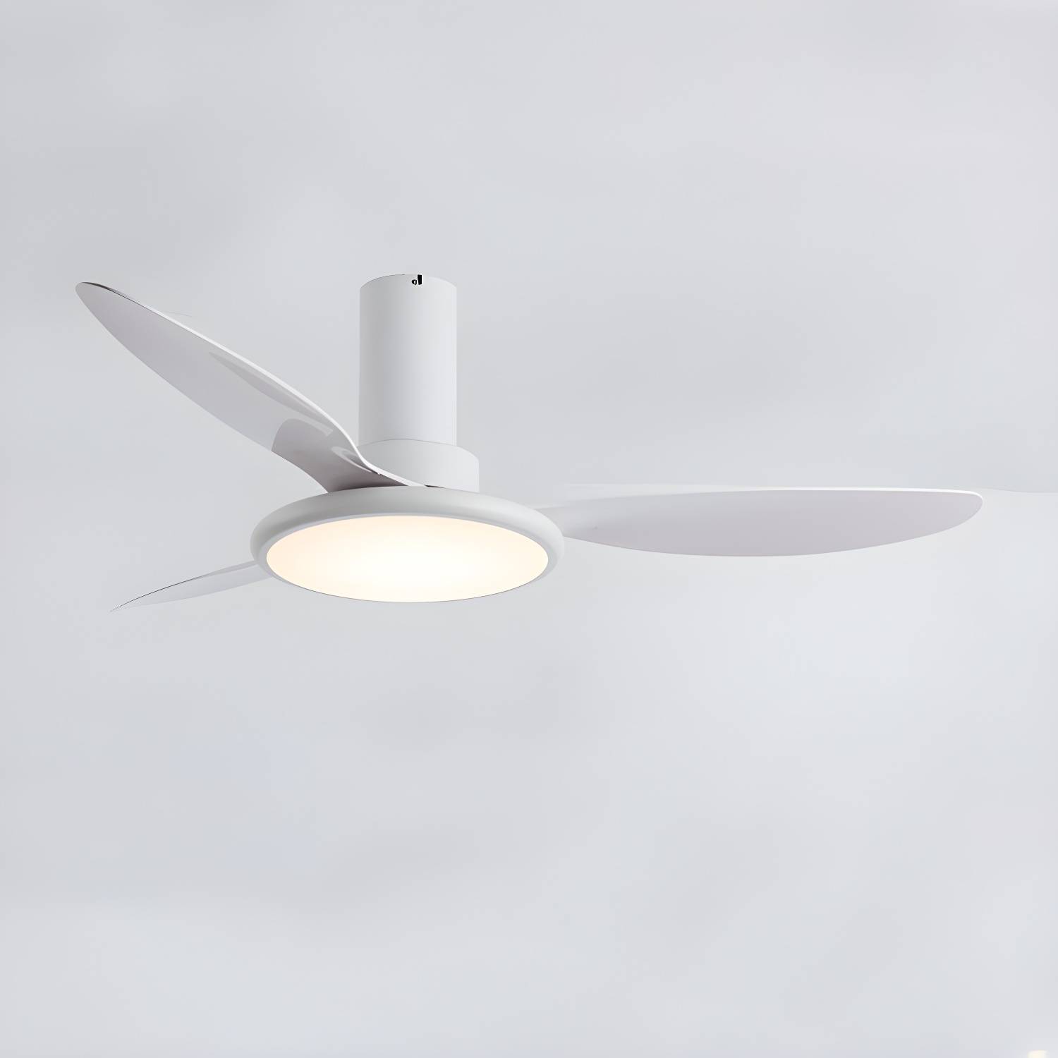 Imported image e670fdada294 5275269.jpg