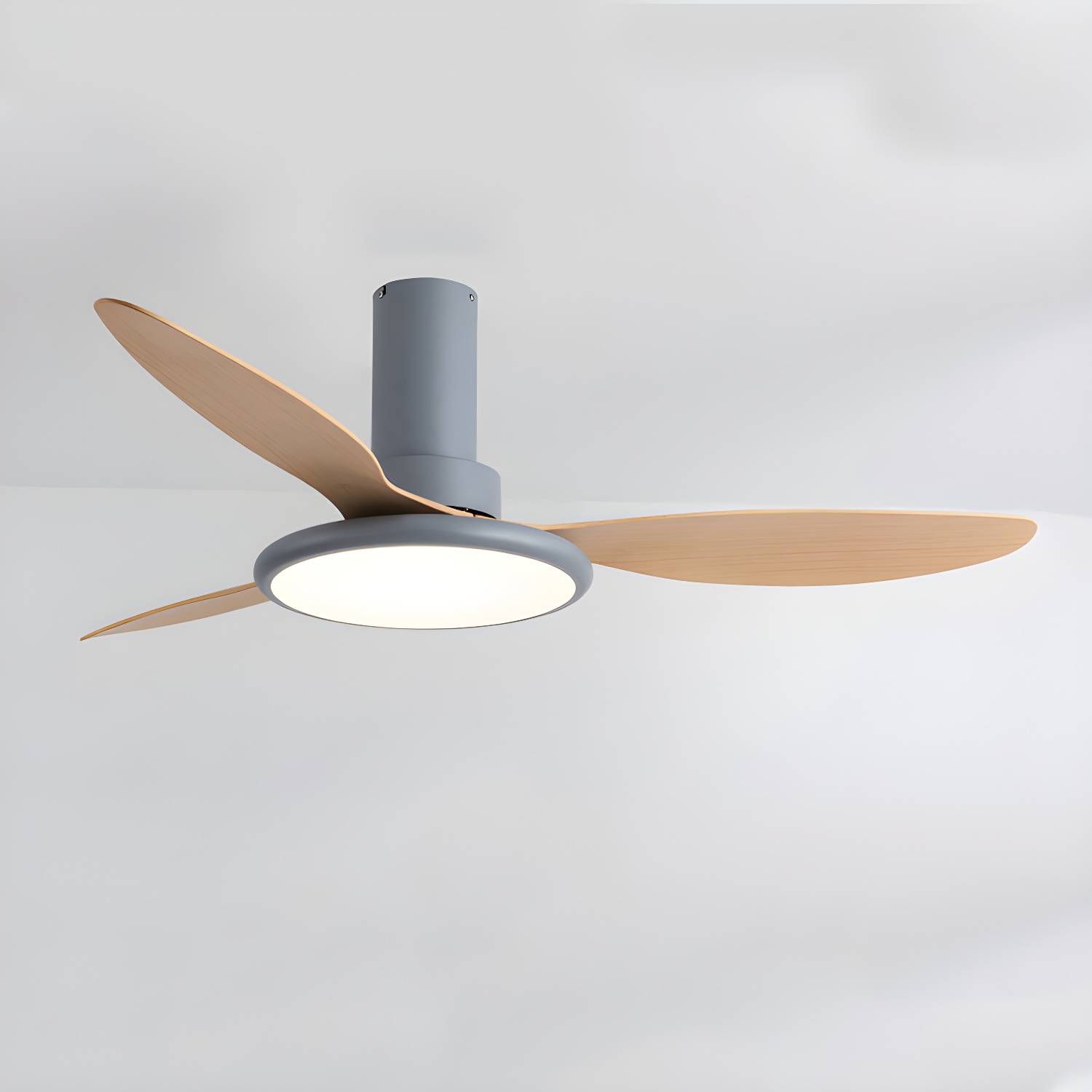 Imported image 08188aa1d407 5275272.jpg