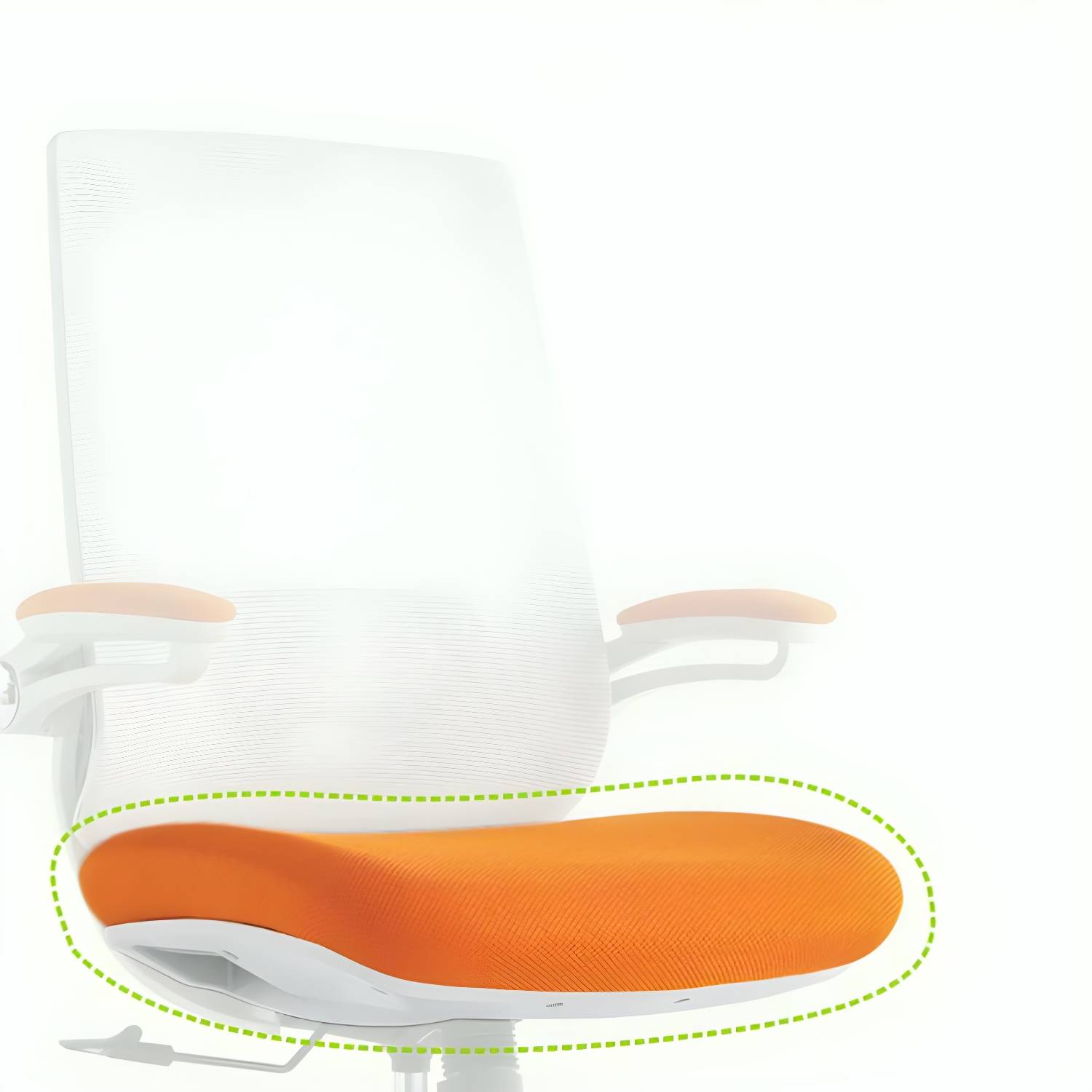 Imported image d097d8e8b857 5276134.jpg