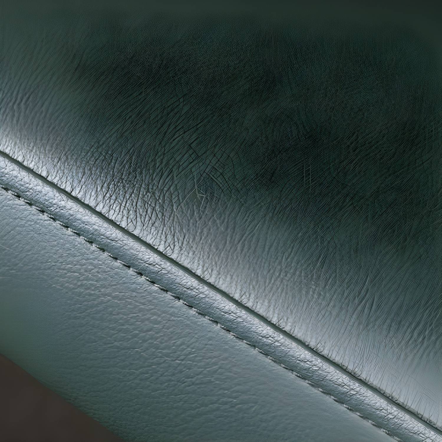 Imported image 4fc47dc3e53b 5279225.jpg