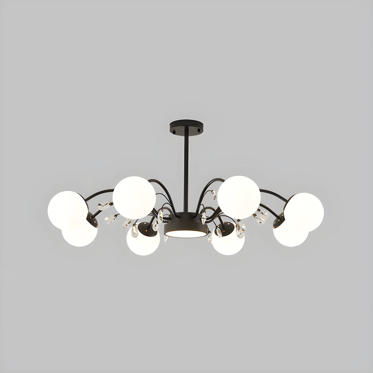 Imported image 116e9869b59d 5282812.jpg