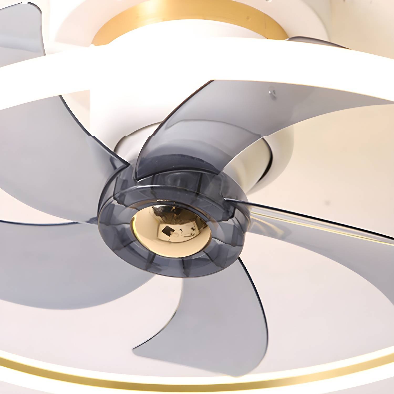 Imported image 00dd7a5ce1ea 5283686.jpg