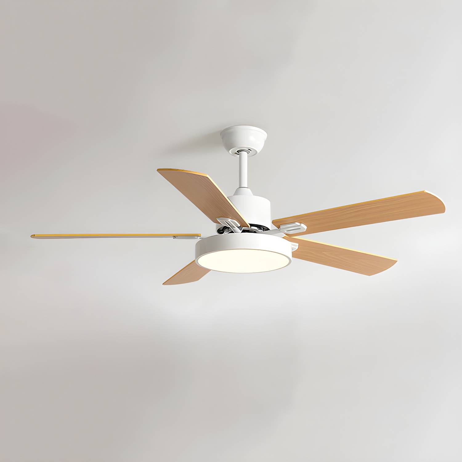 Imported image 5e9feec43adb 5300866.jpg