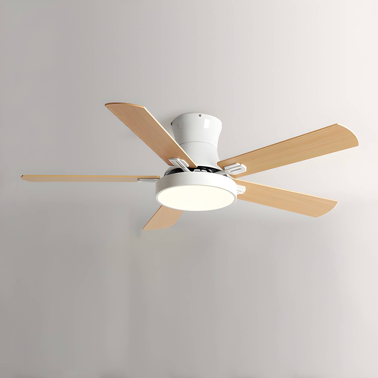 Imported image 8687e37947e6 5300870.jpg