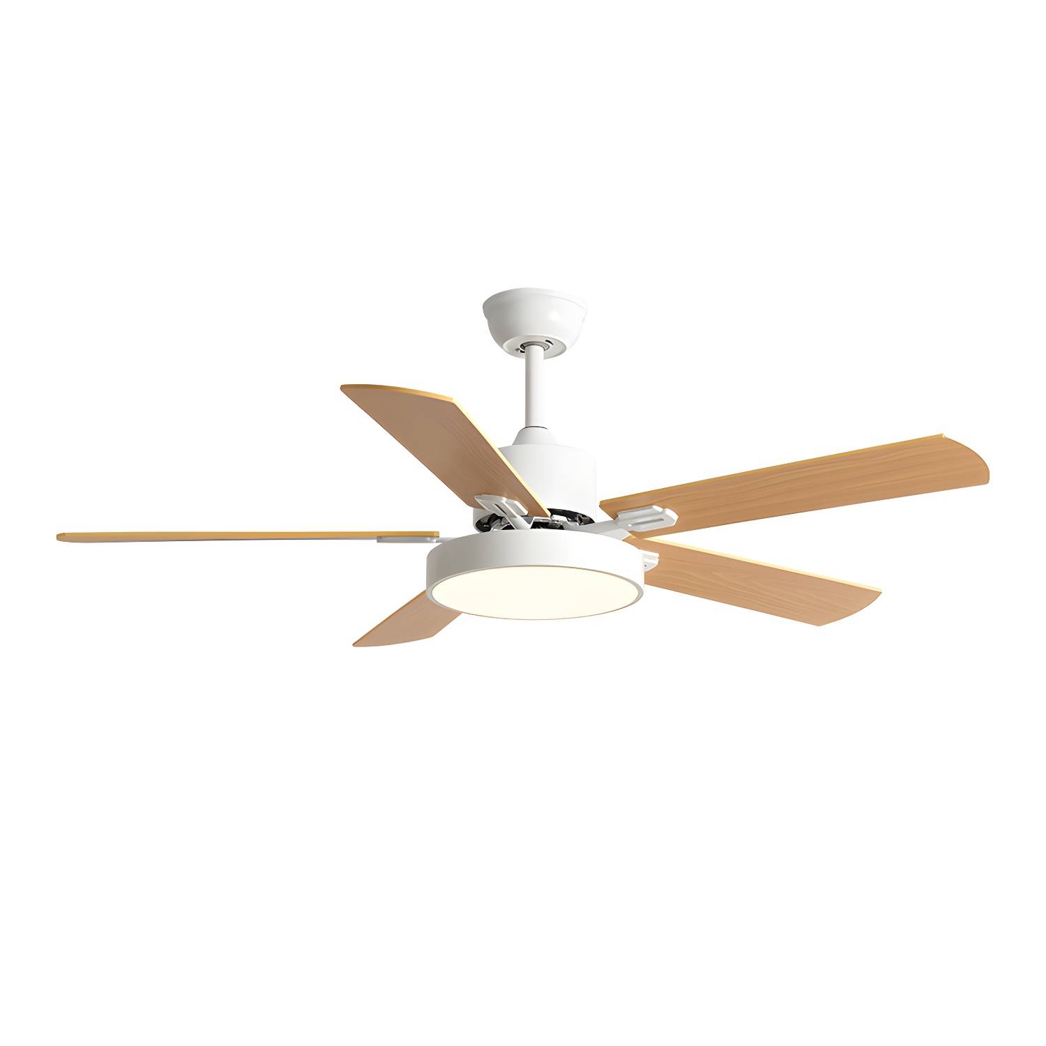Imported image 9743ef62f0cf 5300871.jpg