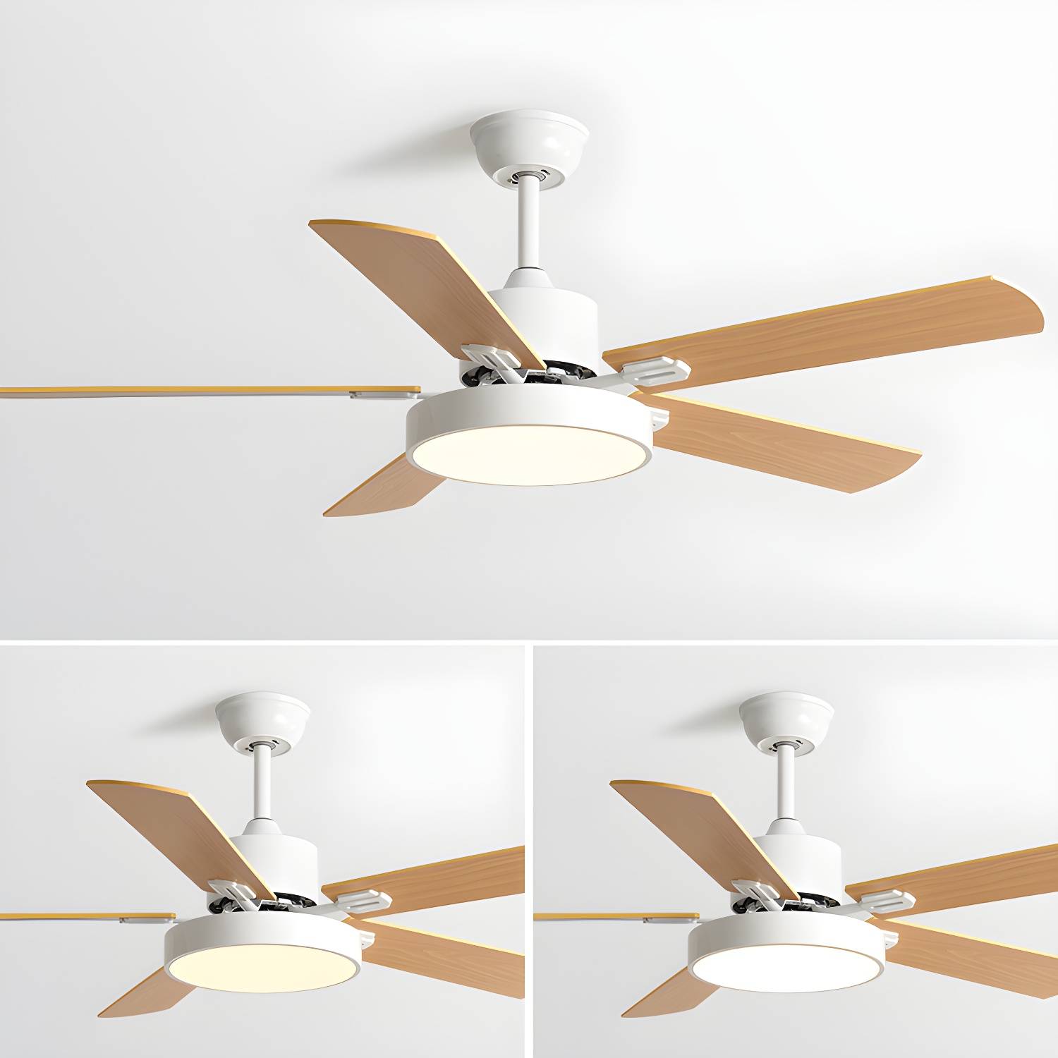 Imported image 572372fd8b1c 5300872.jpg