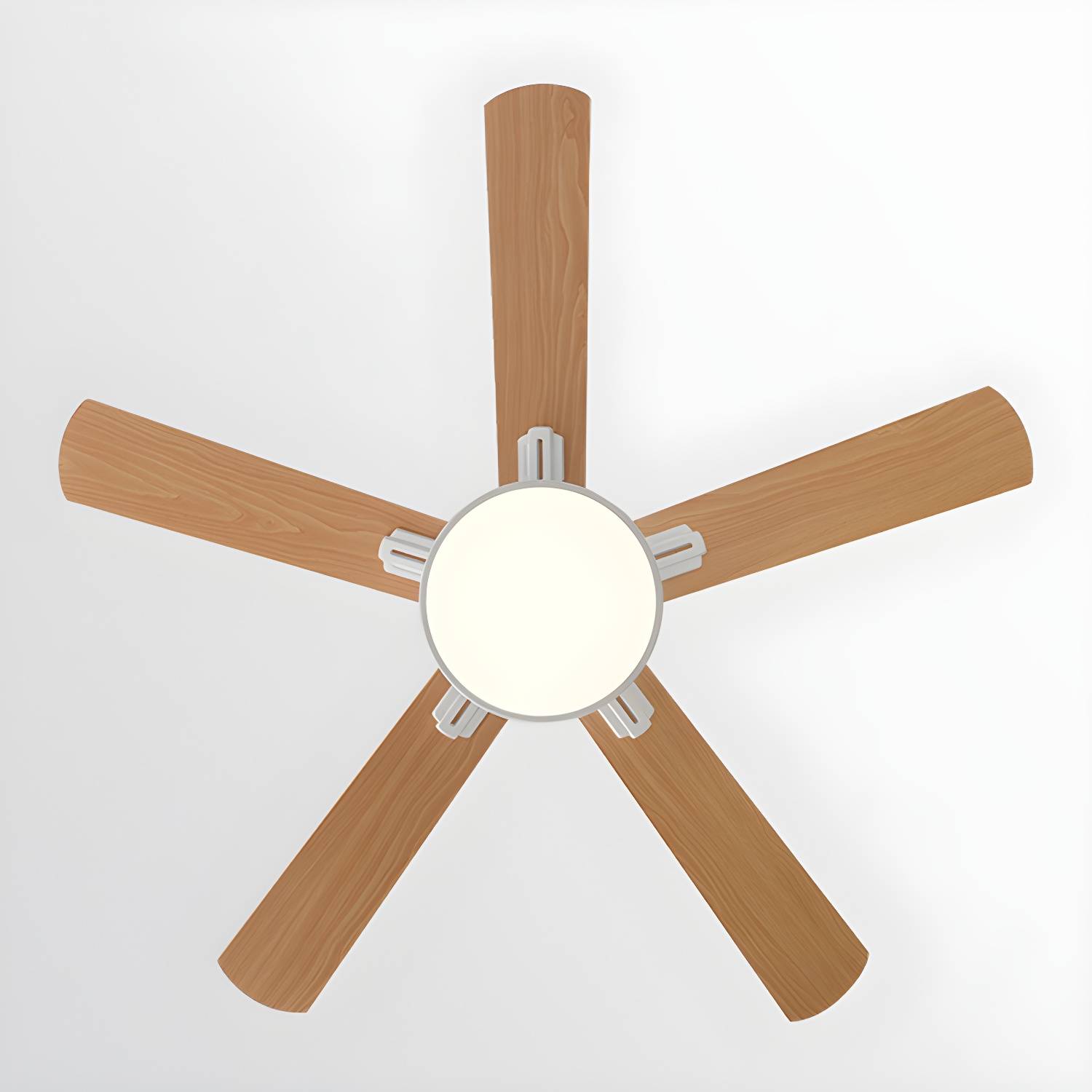 Imported image 151af80de8e2 5300874.jpg