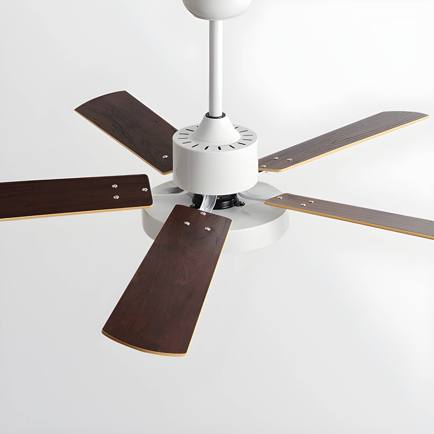 Imported image afae401657b5 5300876.jpg