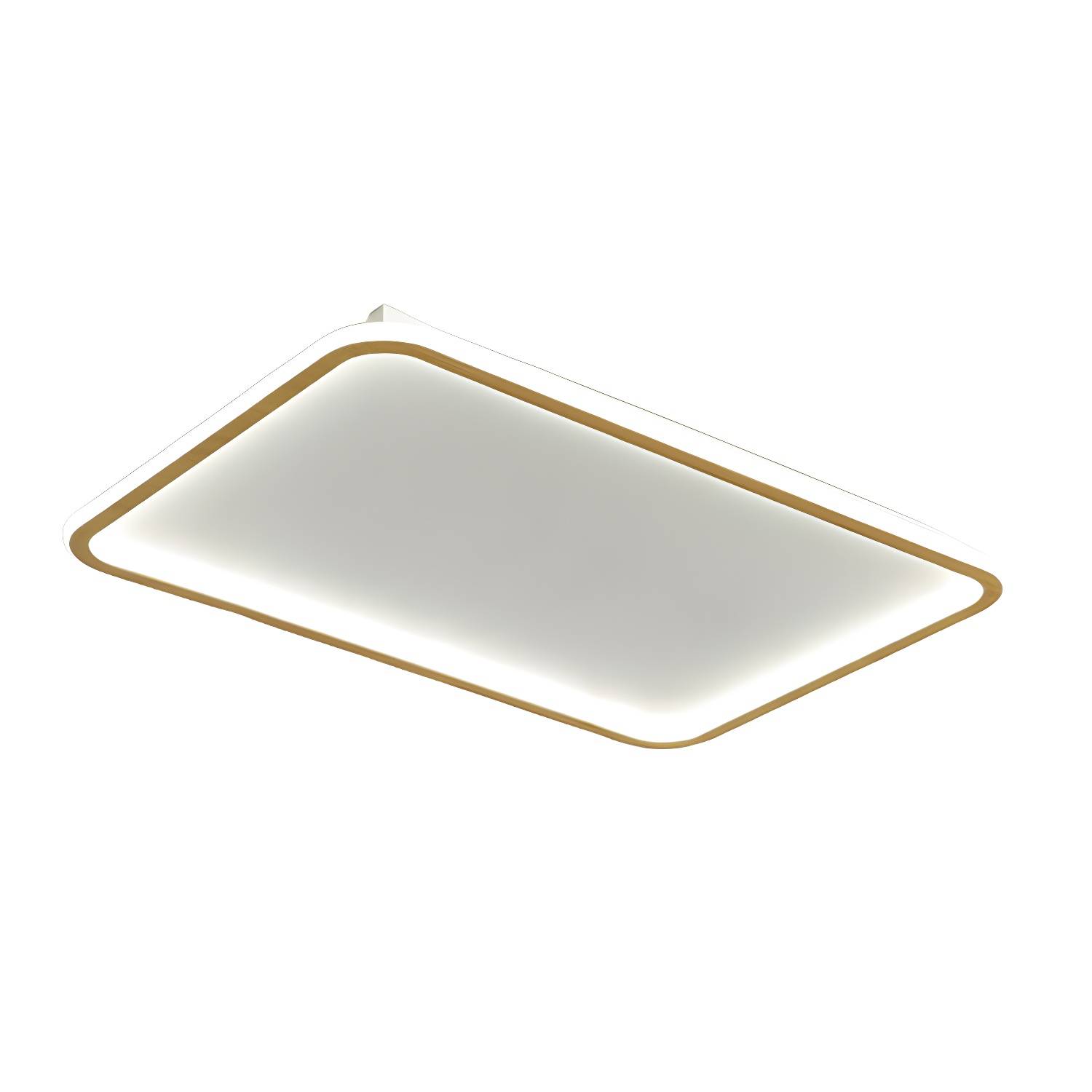 Imported image 97f301571ede 5305938.jpg