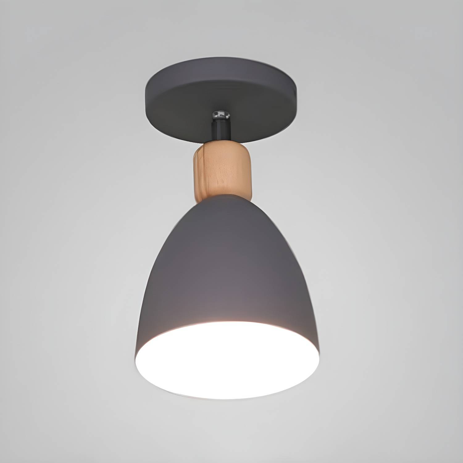 Imported image 5f06d48be612 5305992.jpg