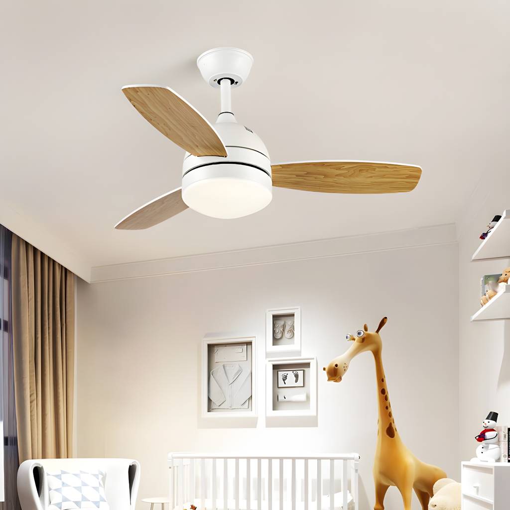 Imported image afa32c8b70b1 5308171.jpg