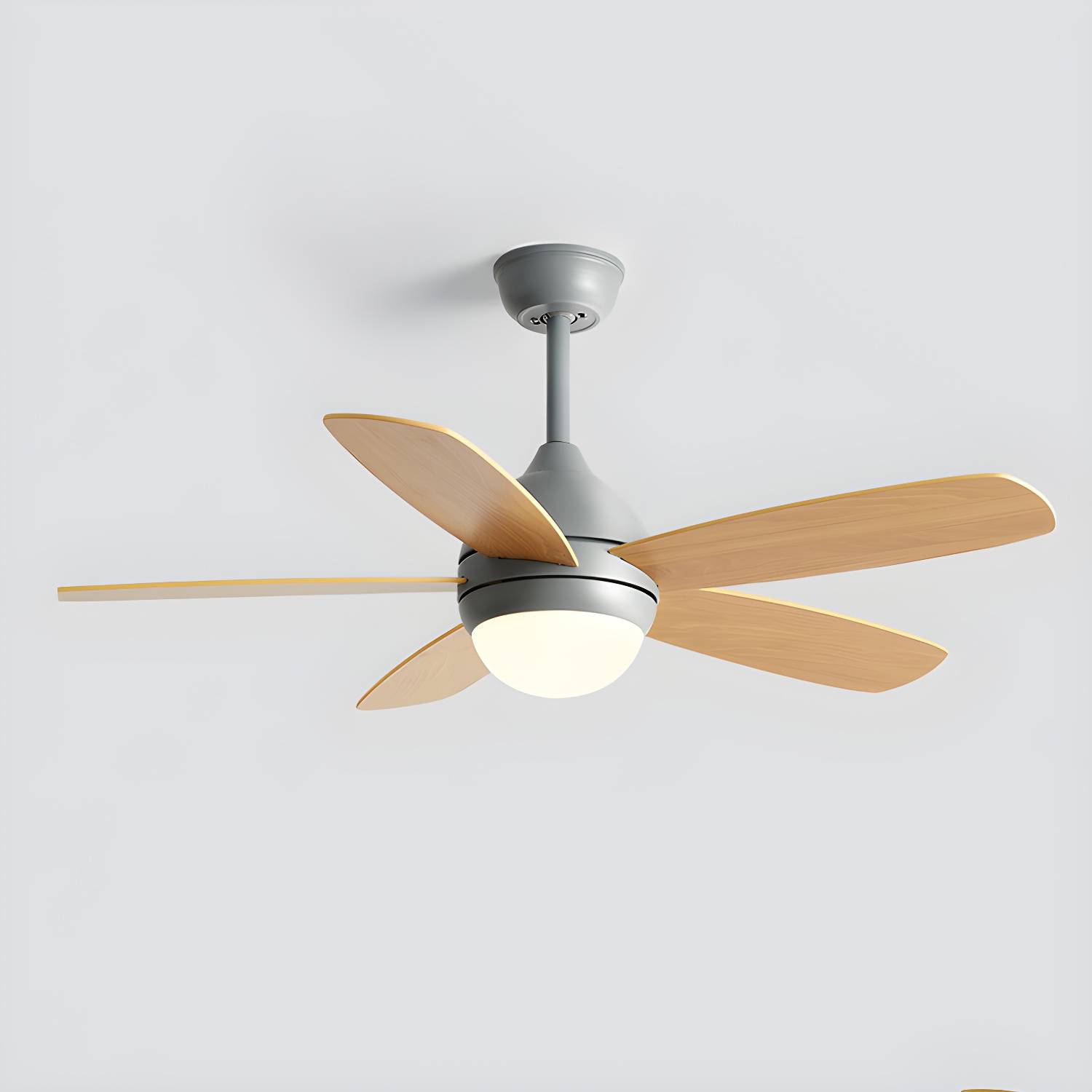 Imported image f26379cacc3c 5308304.jpg