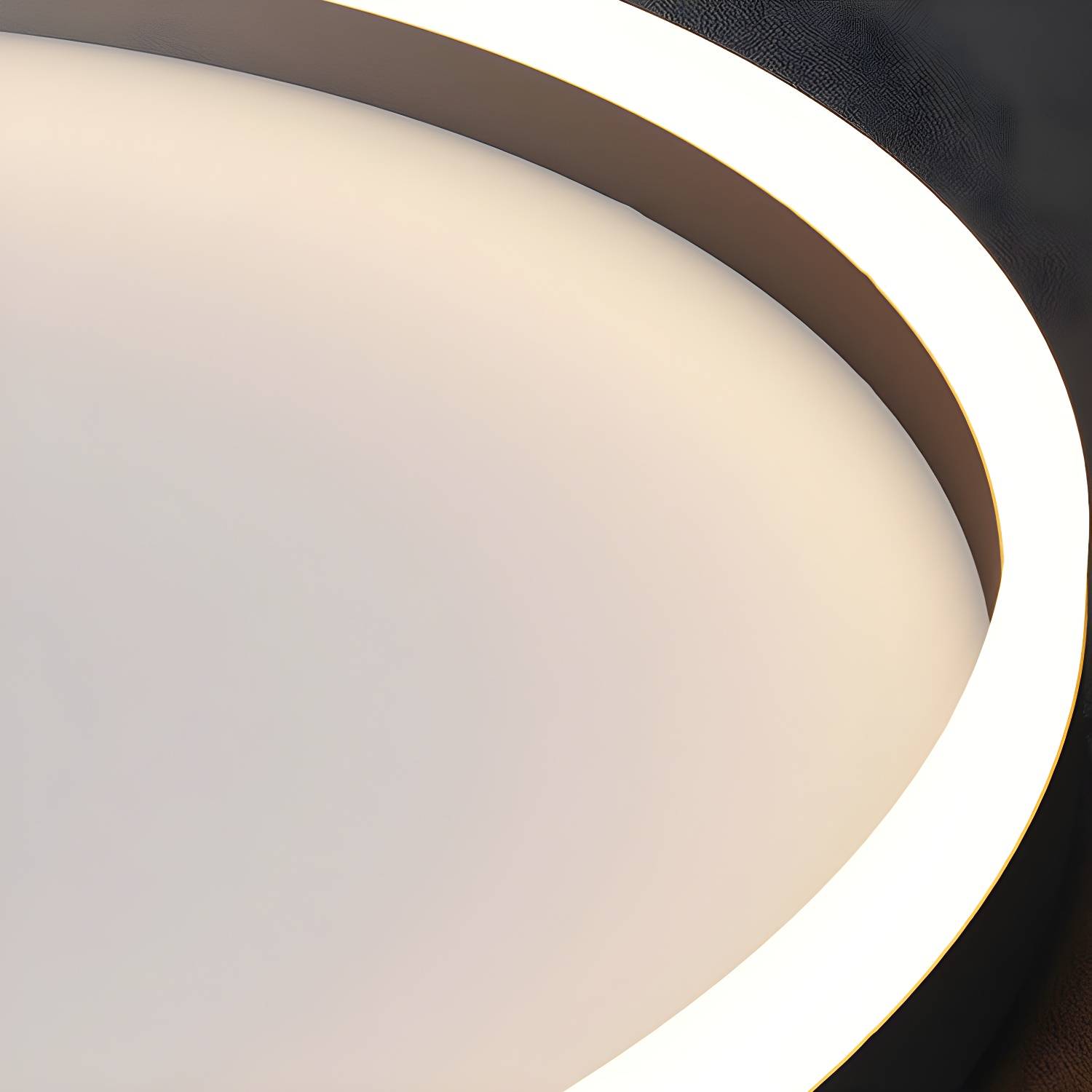 Imported image a7d02086675d 5315534.jpg