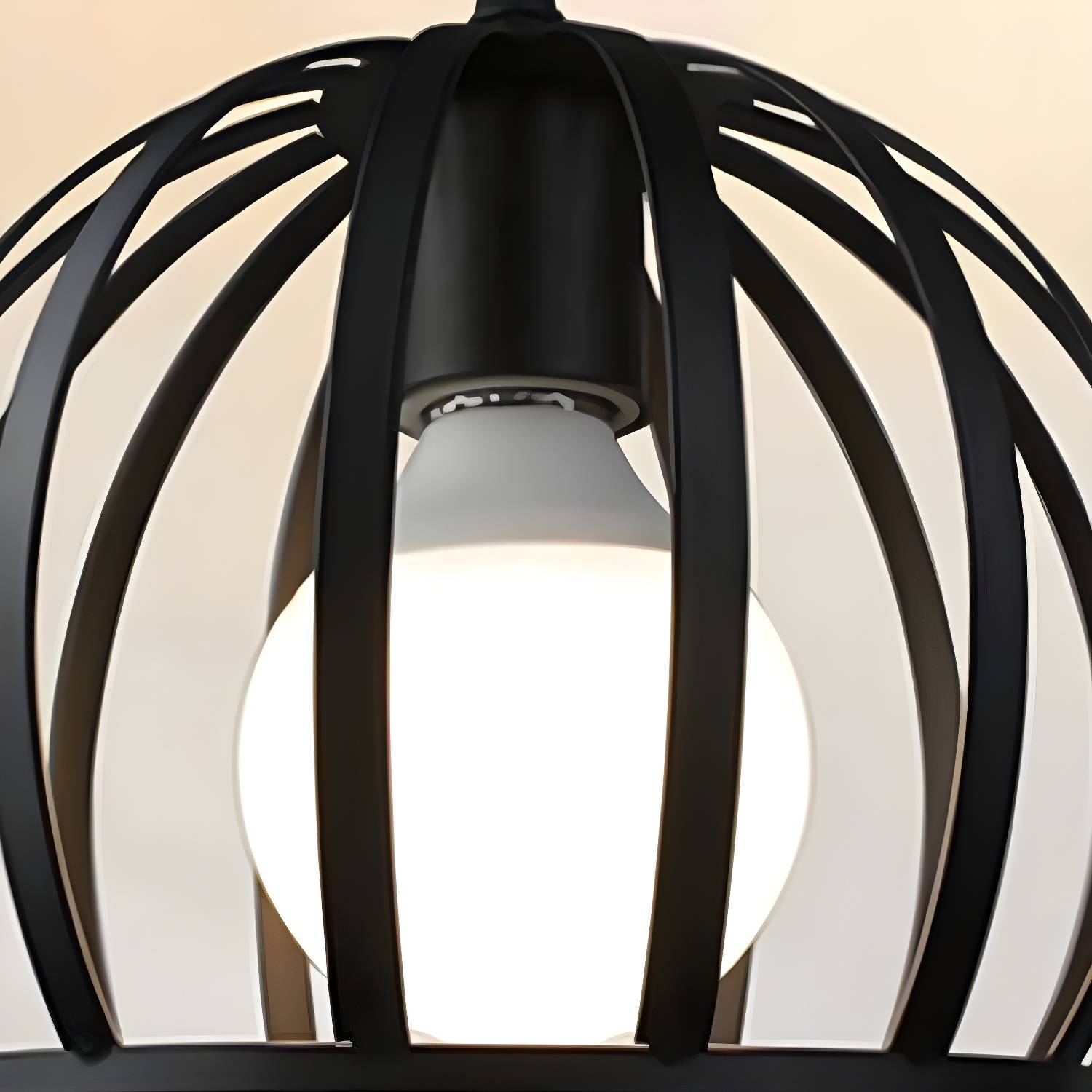 Imported image 0b11e7aba8fb 5316993.jpg