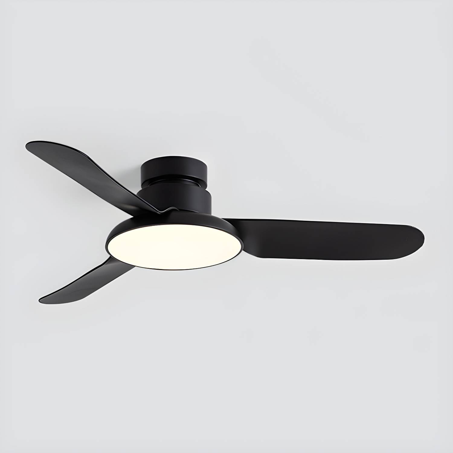 Imported image 84808a4a887b 5317514.jpg