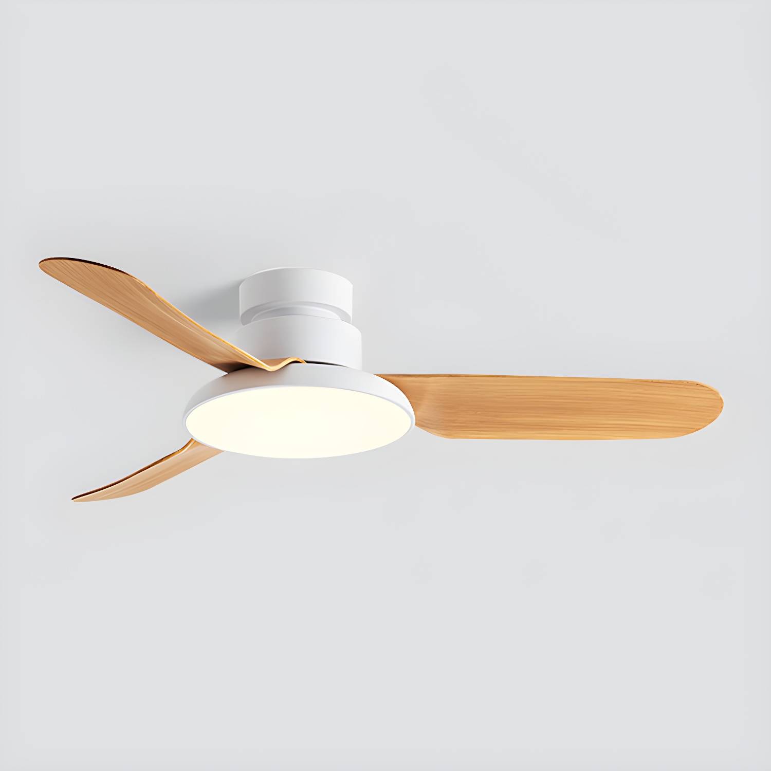 Imported image a83f8e27d303 5317518.jpg