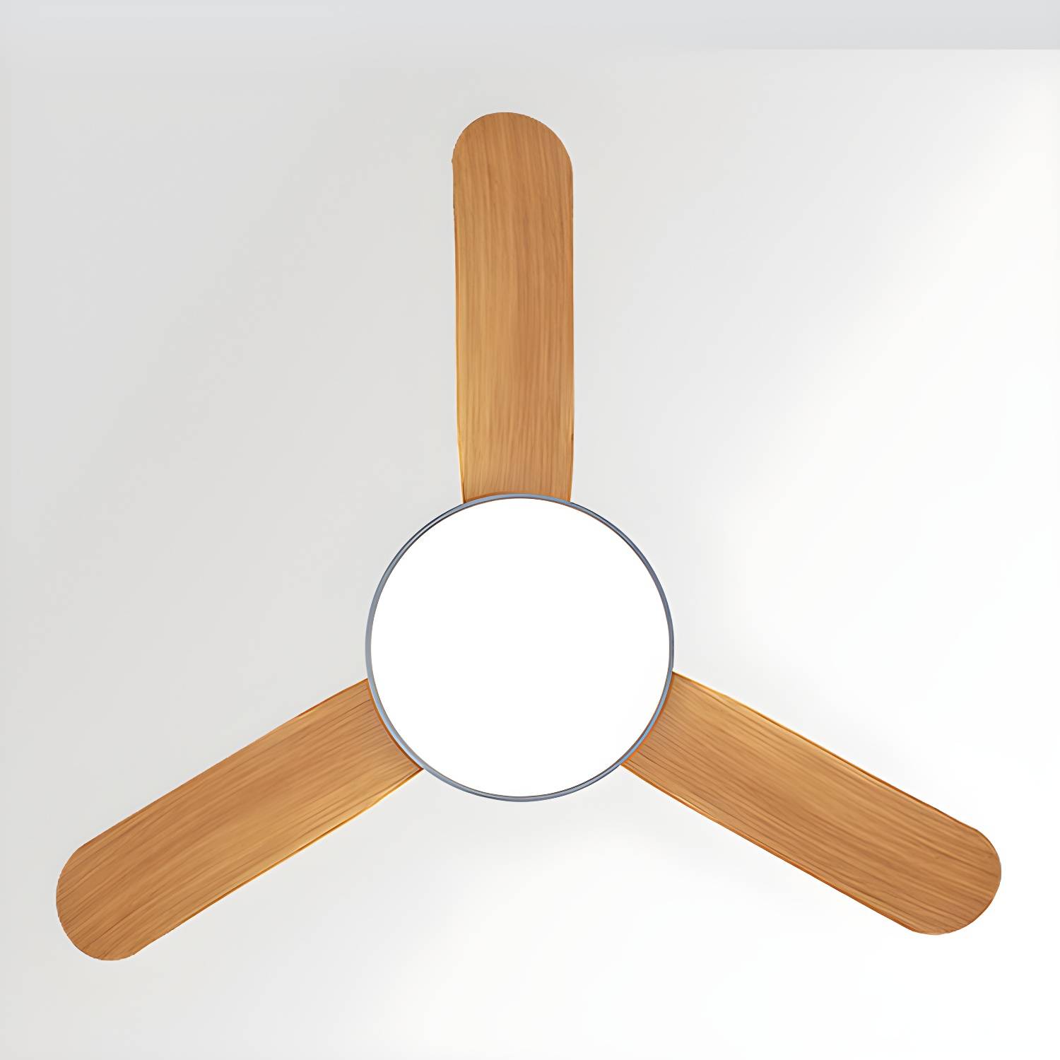 Imported image 0e5bdd3398c3 5317521.jpg