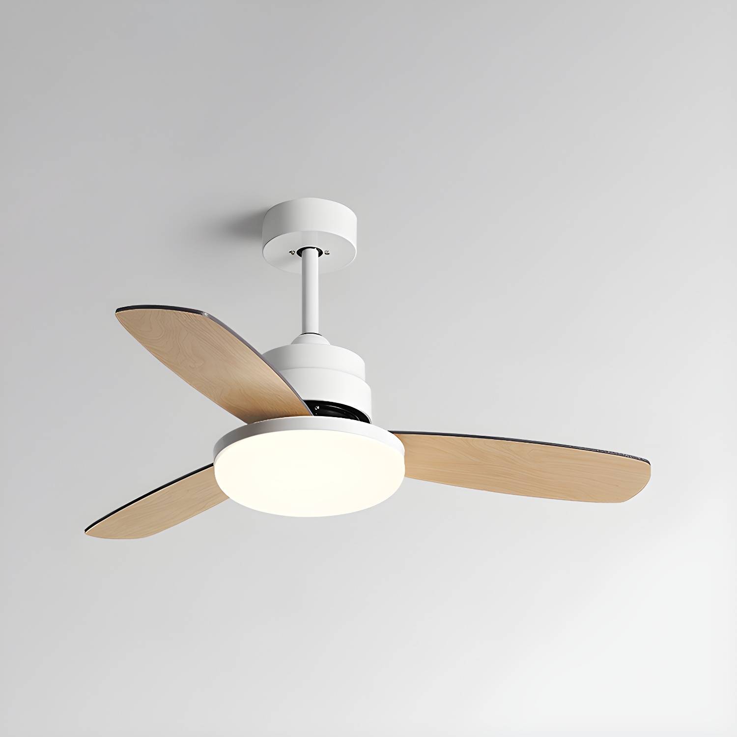 Imported image a93cda7539ba 5330908.jpg
