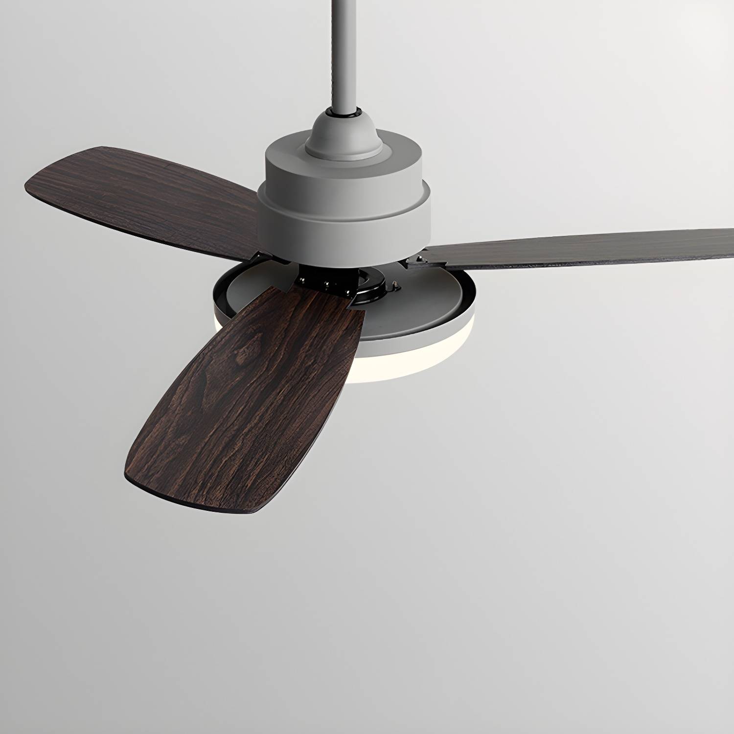 Imported image 0249fbeacc82 5330911.jpg