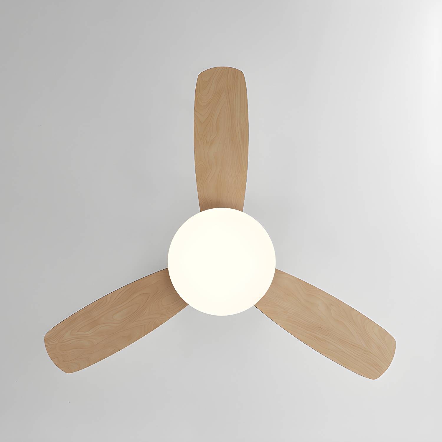Imported image 3a4dd15130a1 5330913.jpg