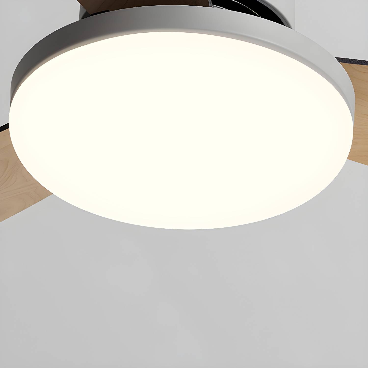 Imported image bbe7ff0e0255 5330915.jpg