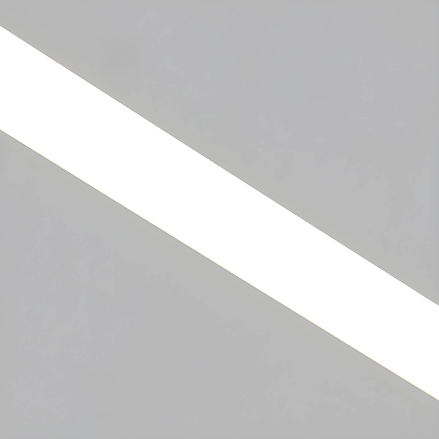 Imported image 2d709455e89b 5342272.jpg