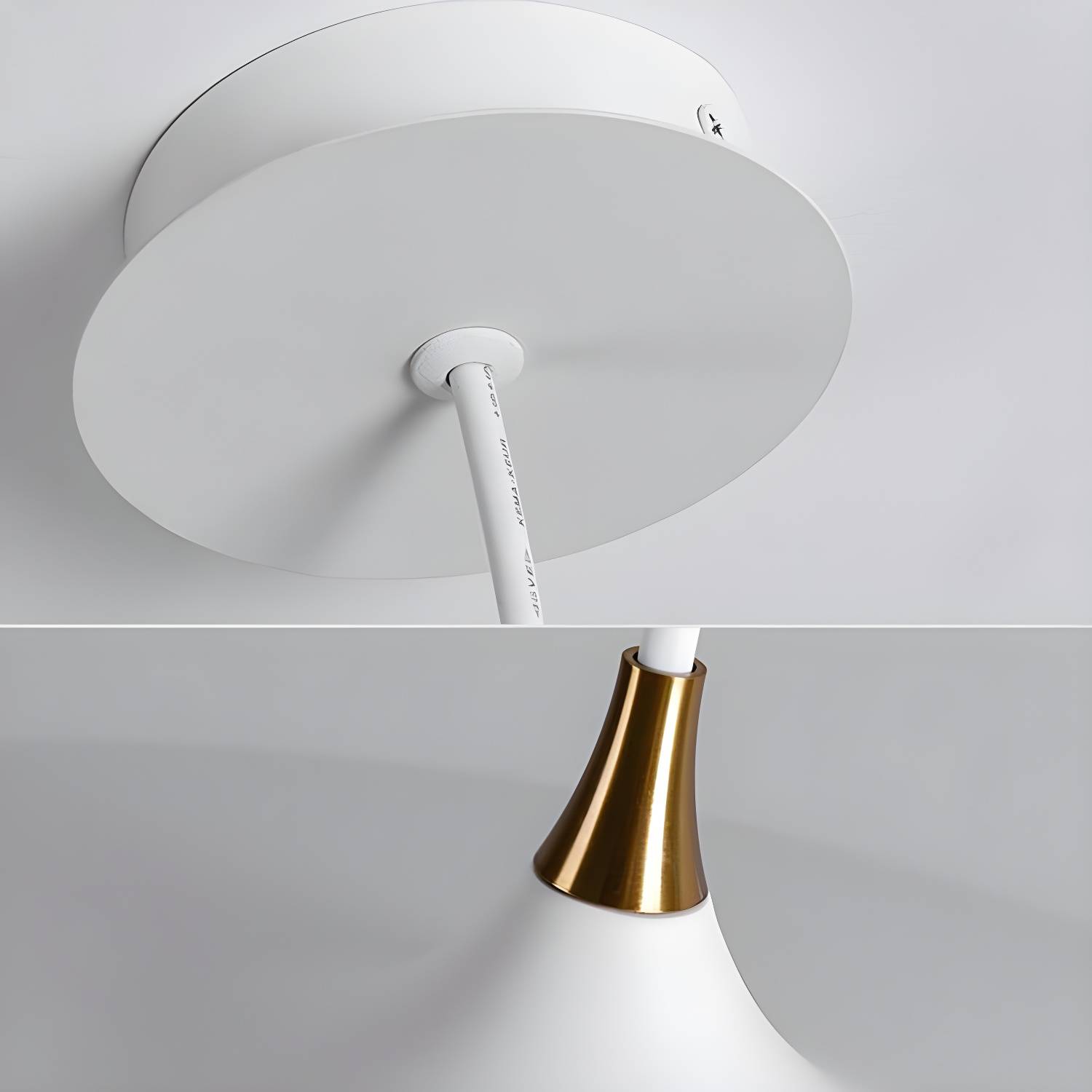 Imported image 99df9a1e425c 5344073.jpg