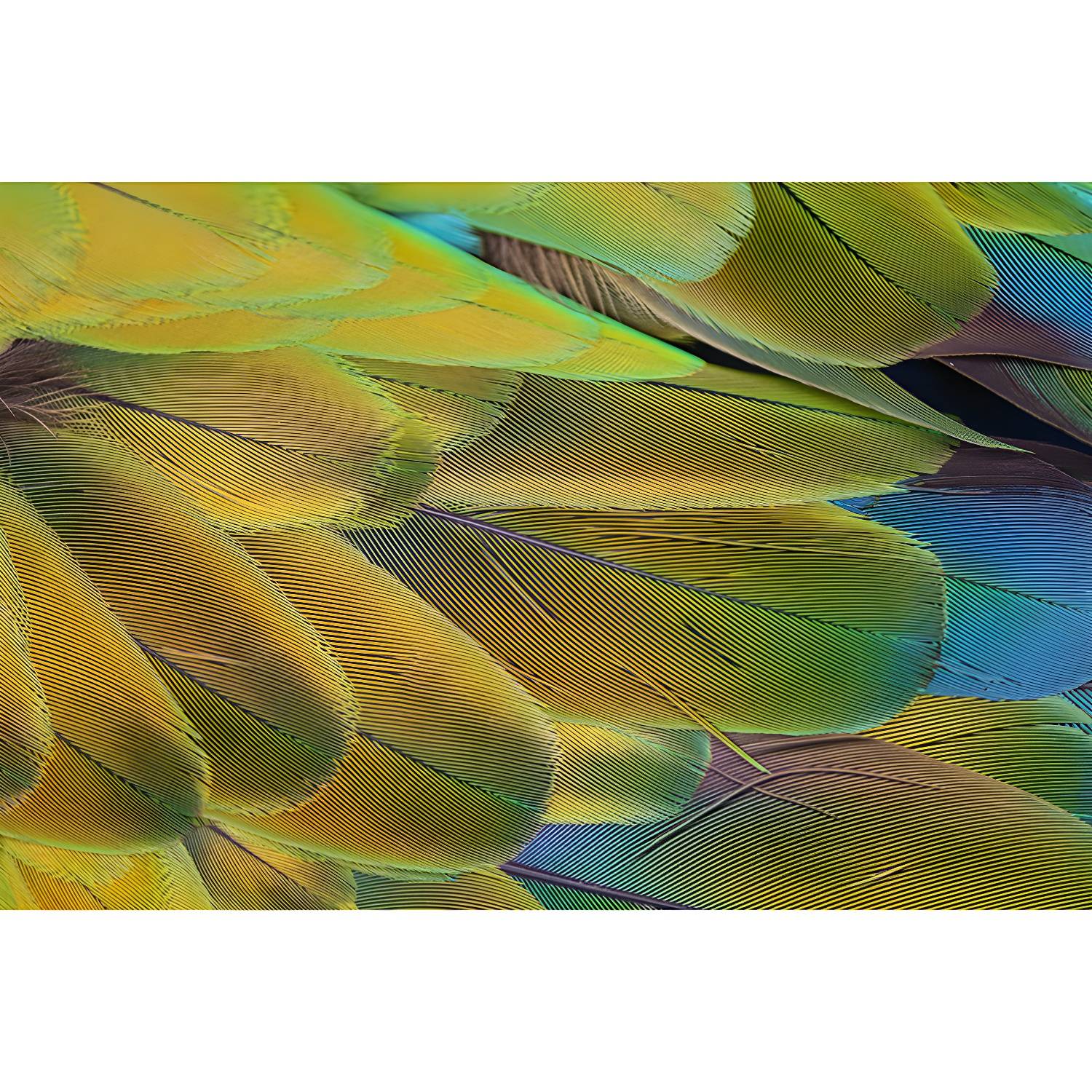 Imported image f94daa068ac9 5363441.jpg