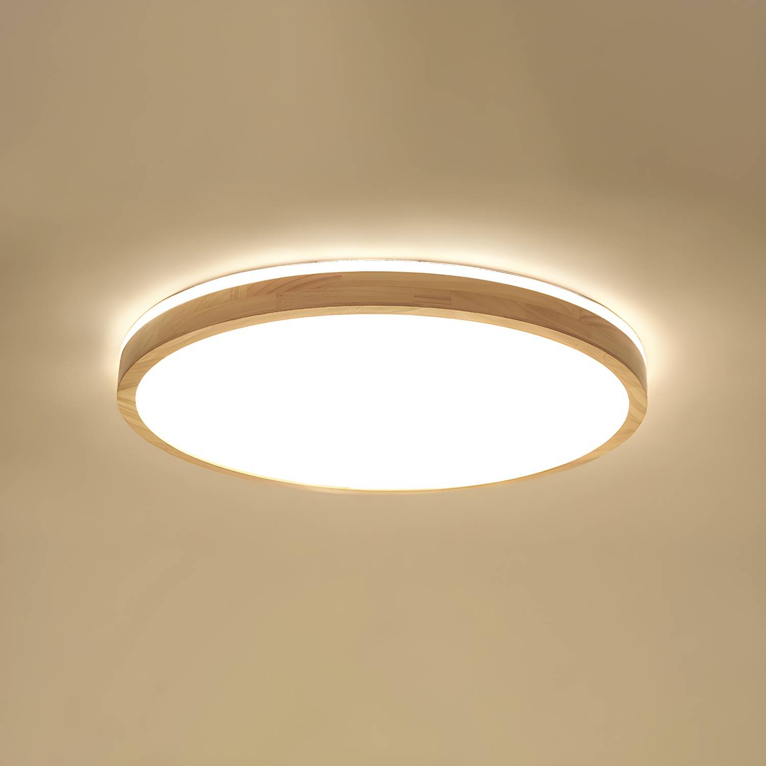 Imported image 362d4d61949d 5383841.jpg