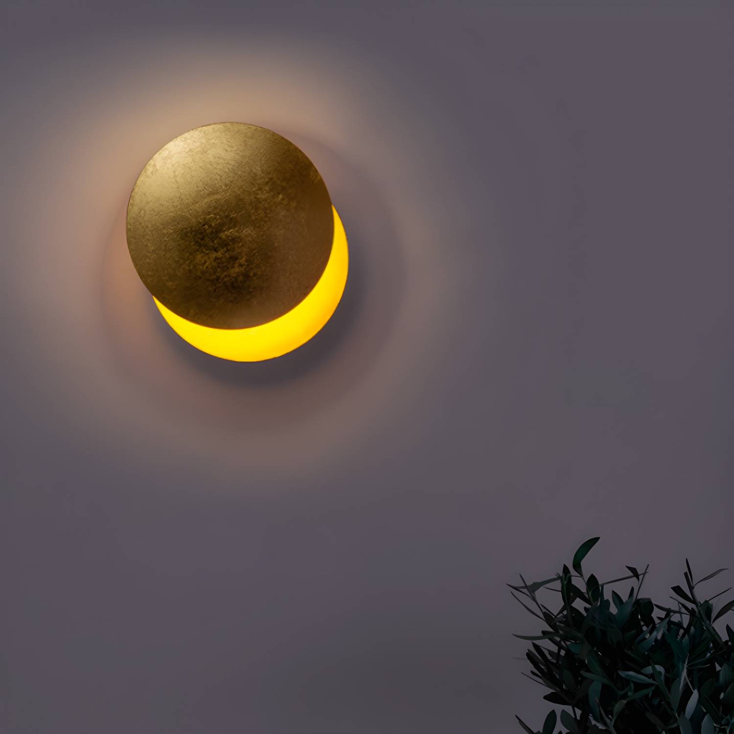 Imported image b6d85eced36f 5396325.jpg