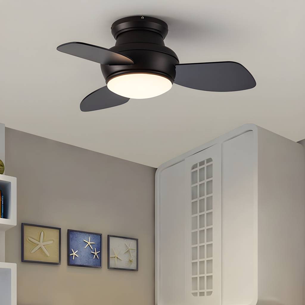 Imported image d659e9e1d157 5397773.jpg
