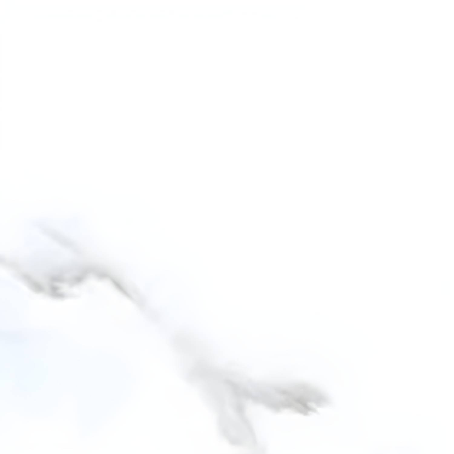 Imported image 84ddf8f88401 5441337.jpg