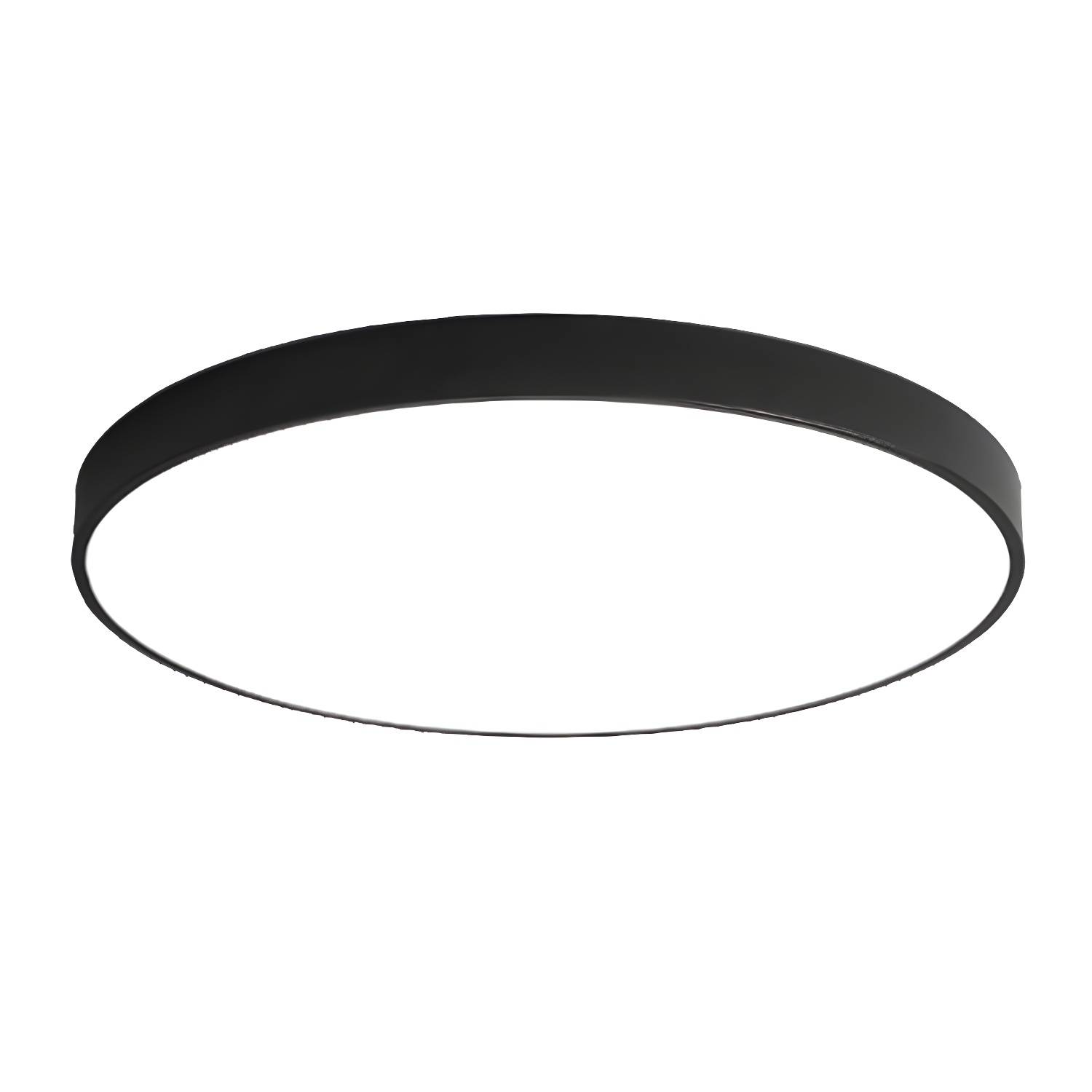 Imported image f1a3e8db19cd 5486565.jpg