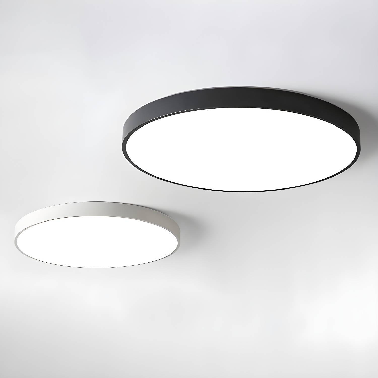 Imported image 9d20979a7bbc 5486568.jpg