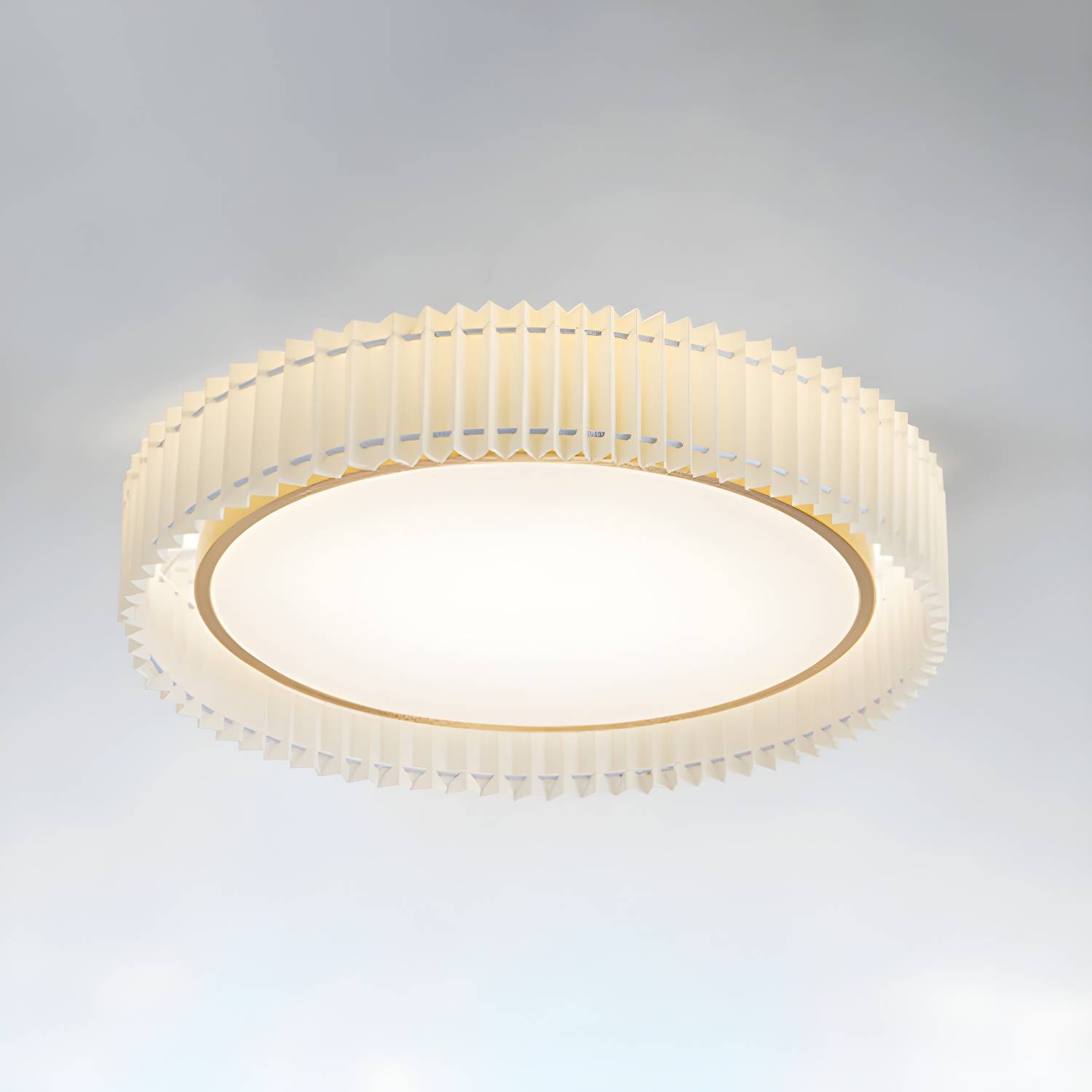 Imported image b21bfce8cefc 5538826.jpg
