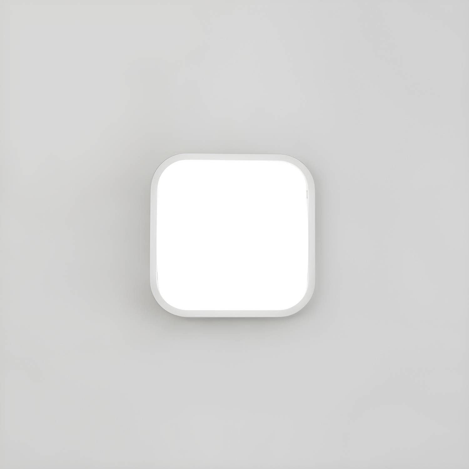 Imported image fab5bd3629ab 5539960.jpg
