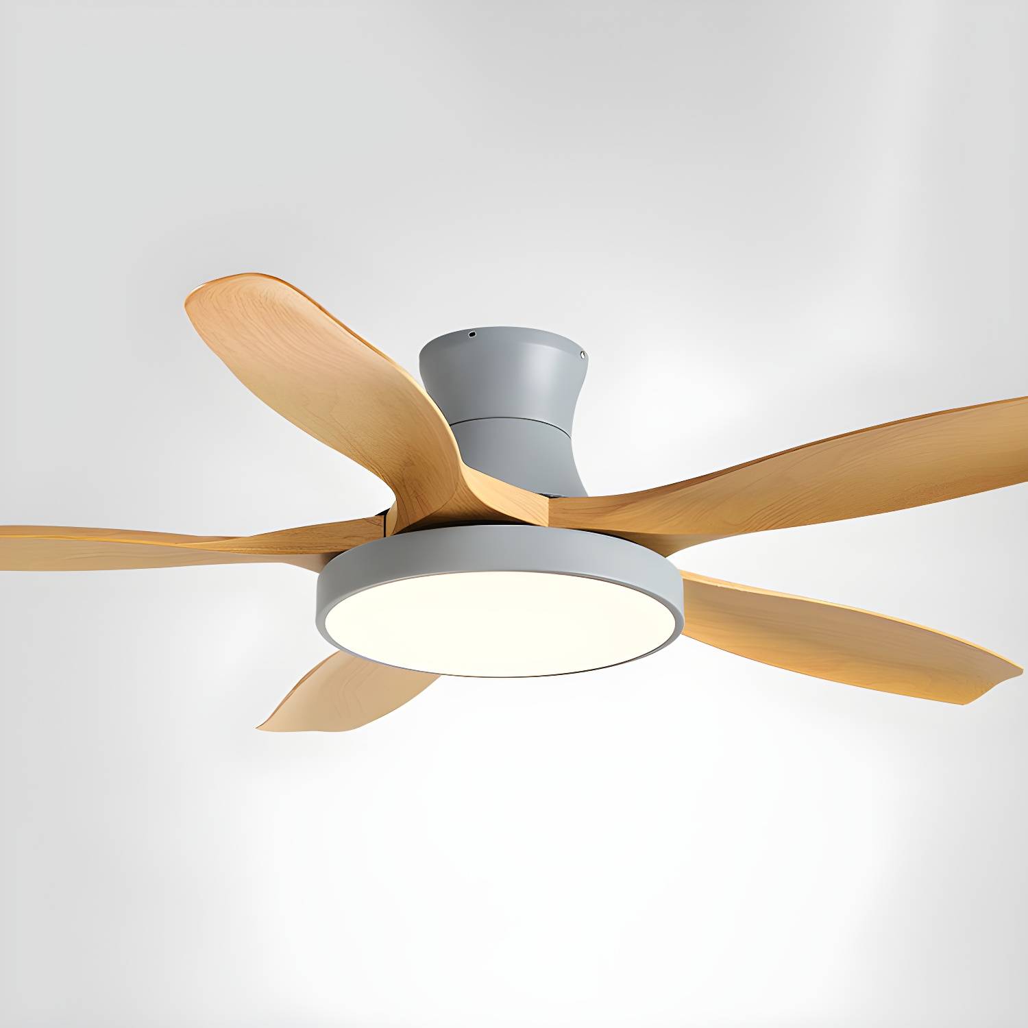 Imported image 63a71204515c 5541512.jpg