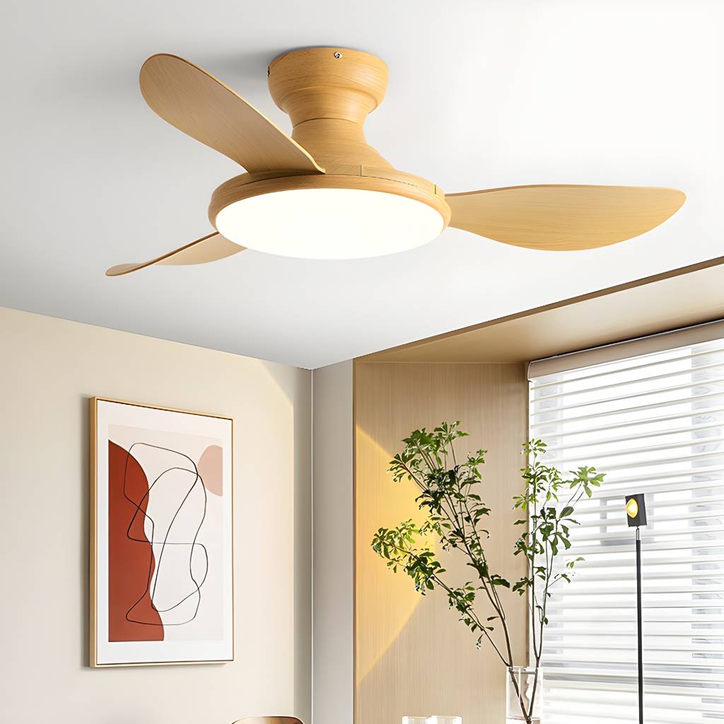 Imported image 892ab484d4cf 5541556.jpg