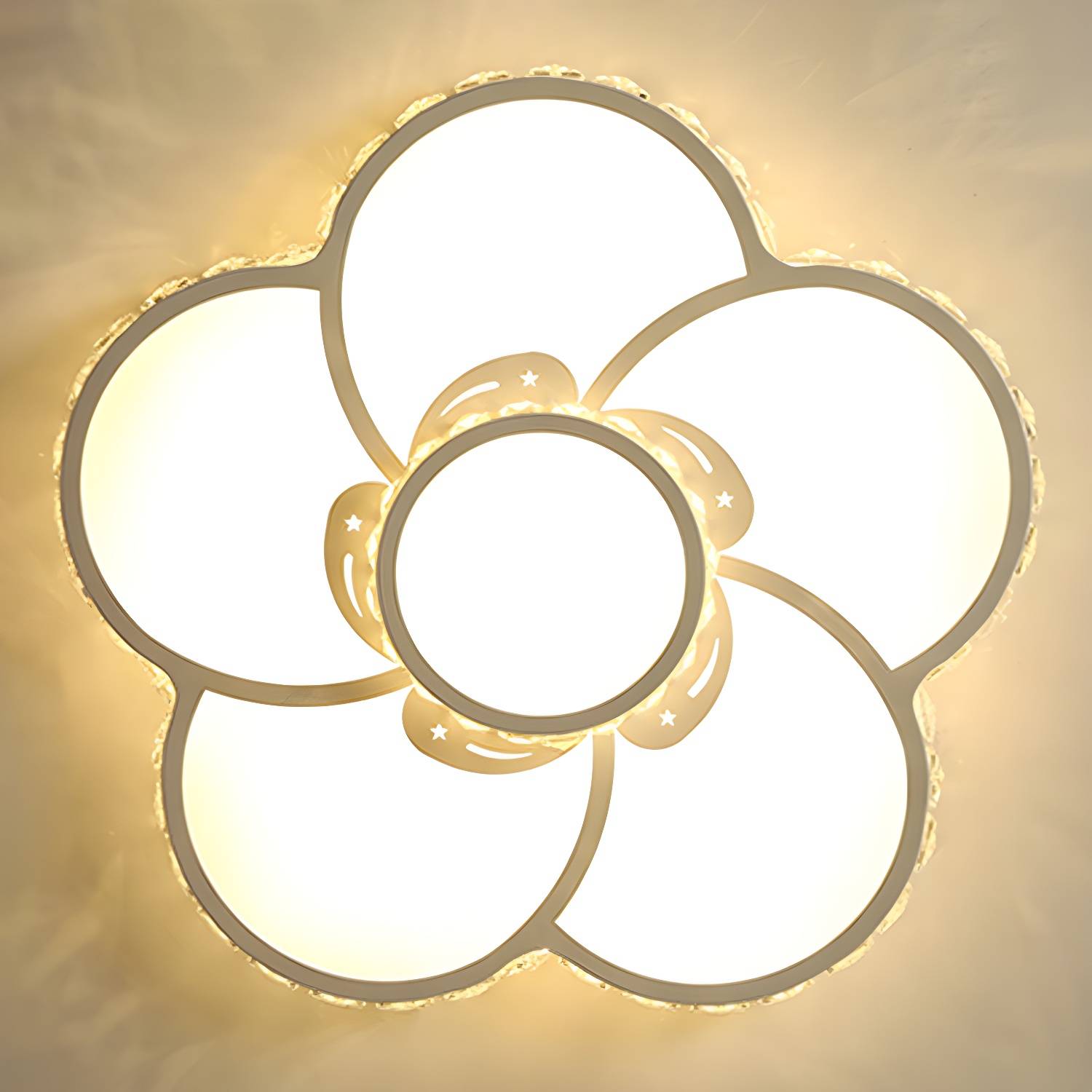 Imported image 0dd0a3f7ce56 5559019.jpg
