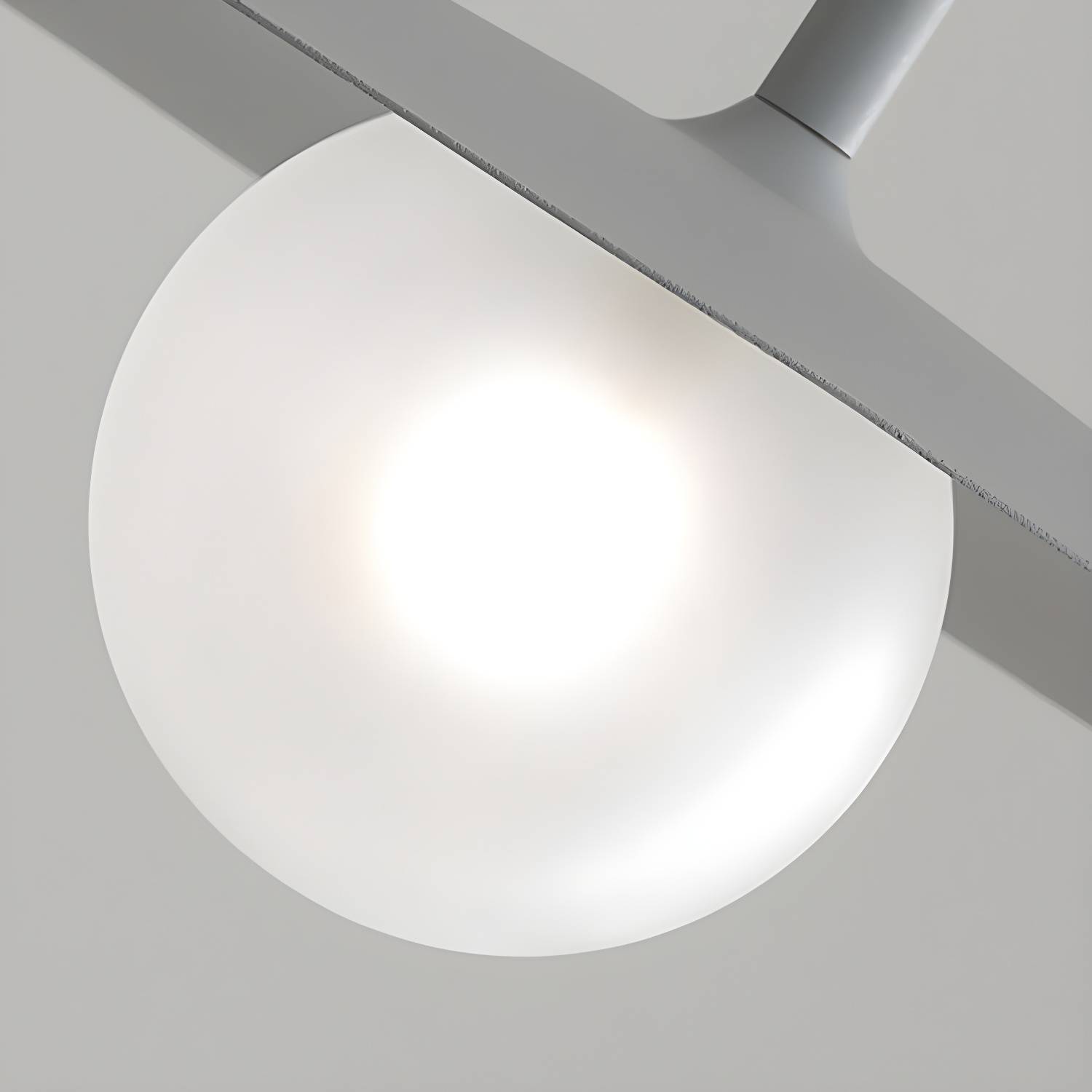 Imported image e088e6121ec3 5560768.jpg