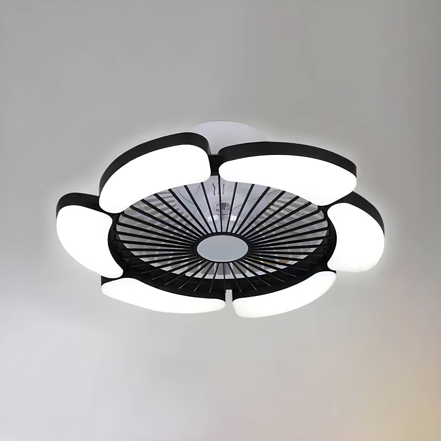 Imported image f339fd5da127 5565442.jpg