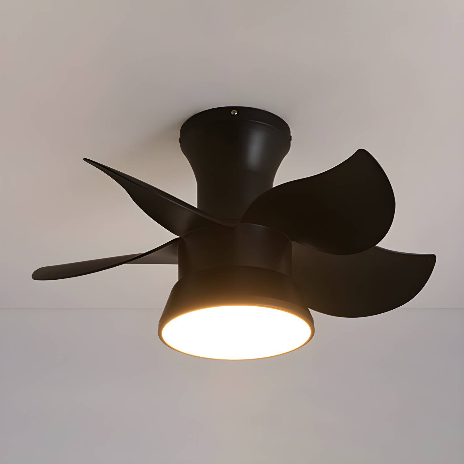 Imported image 63a9fd4541bd 5596559.jpg