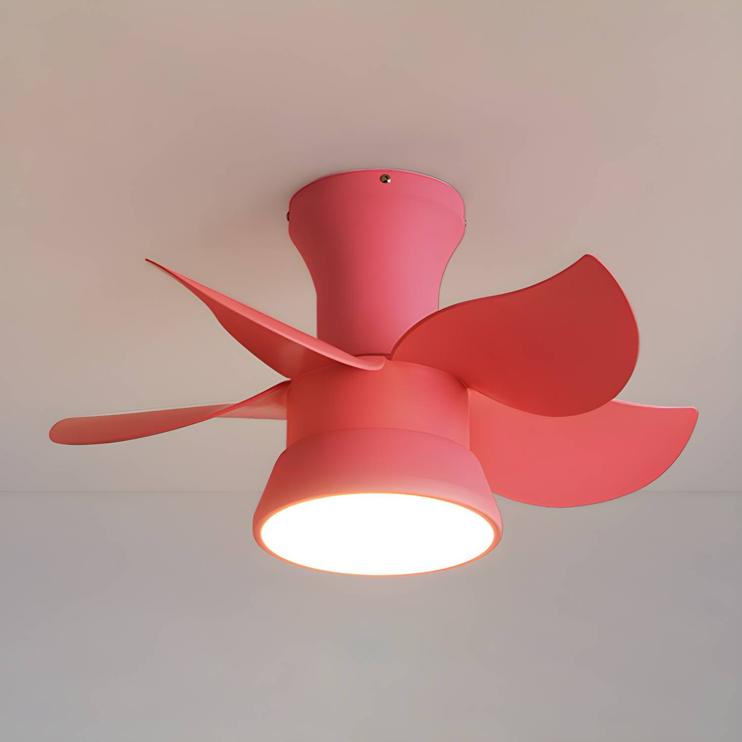 Imported image 4d8d532878ce 5596563.jpg
