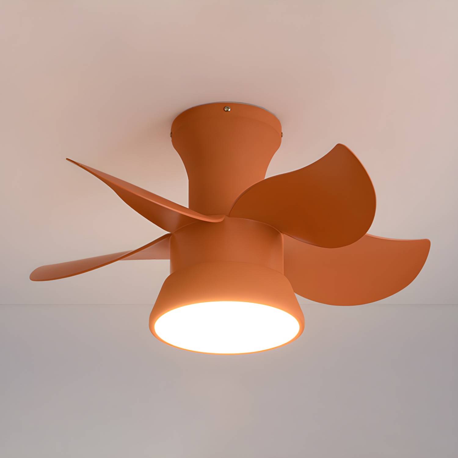 Imported image b763bcd06c5e 5596568.jpg