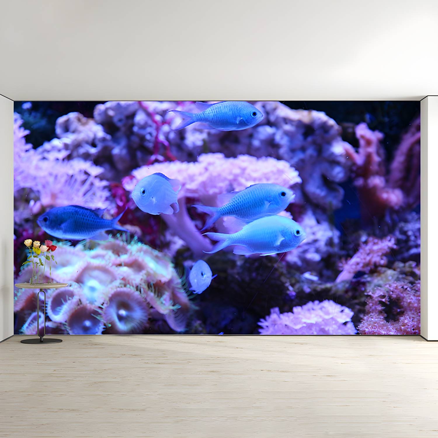 Imported image e32ce7703e93 5615490.jpg