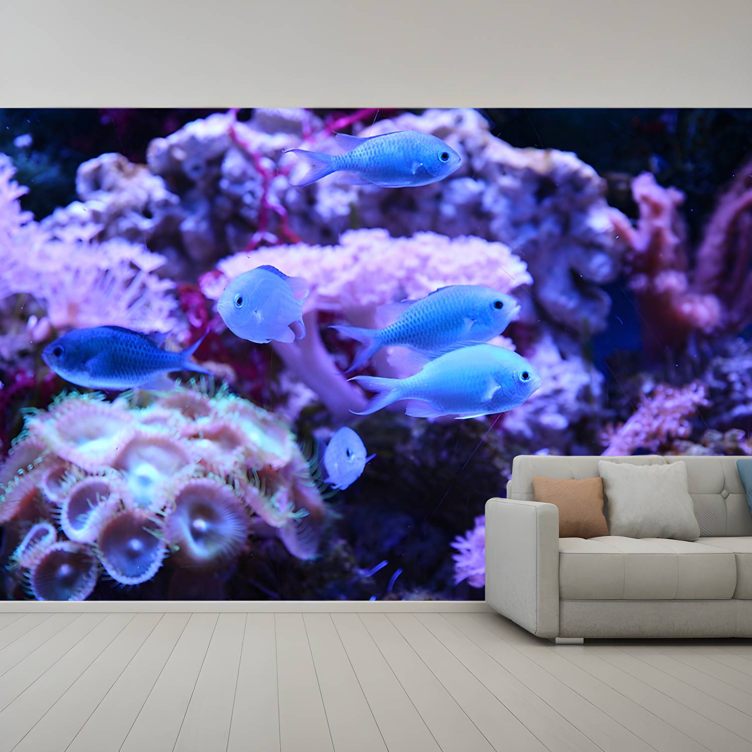 Imported image acd20fca3658 5615492.jpg