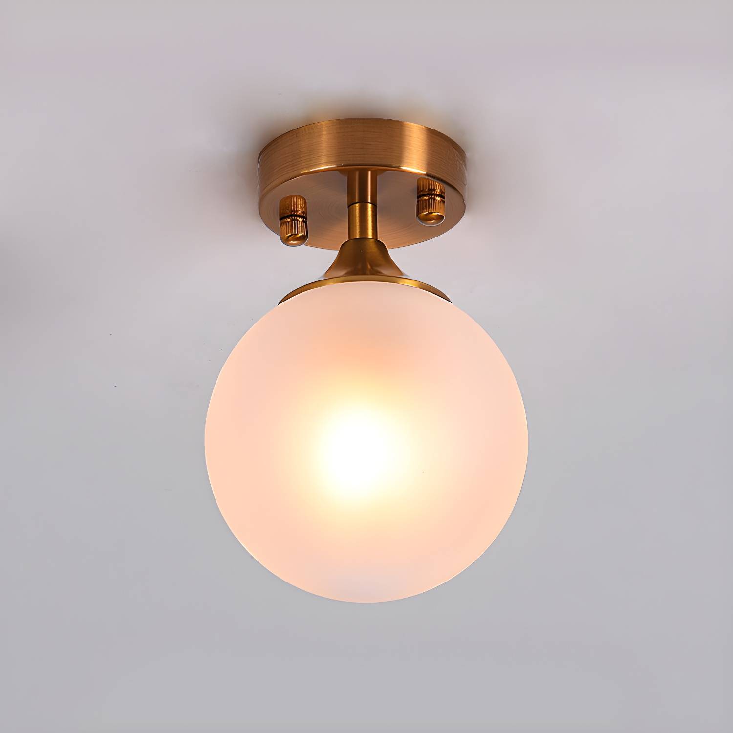 Imported image 47f187bf5dab 5628090.jpg