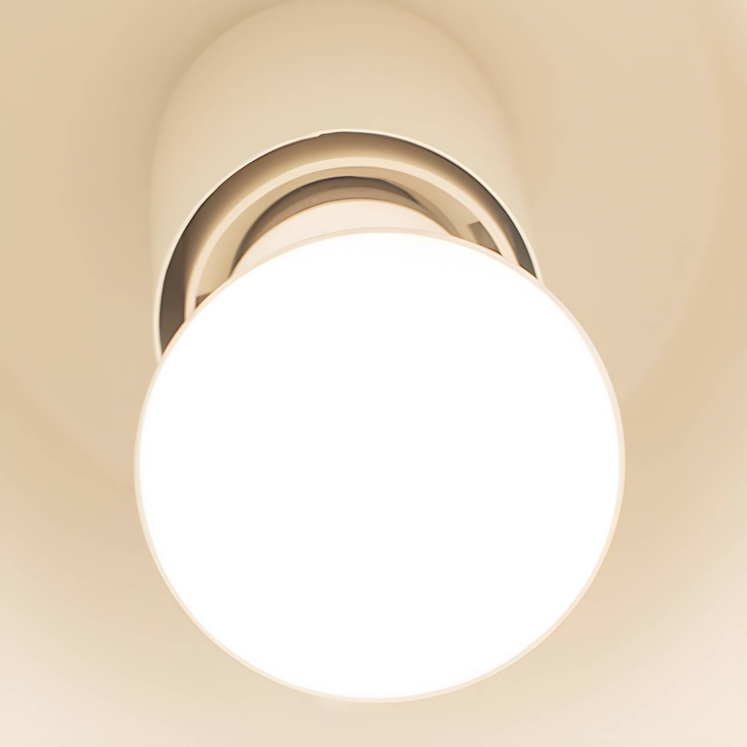 Imported image ef22c17dd51d 5641092.jpg