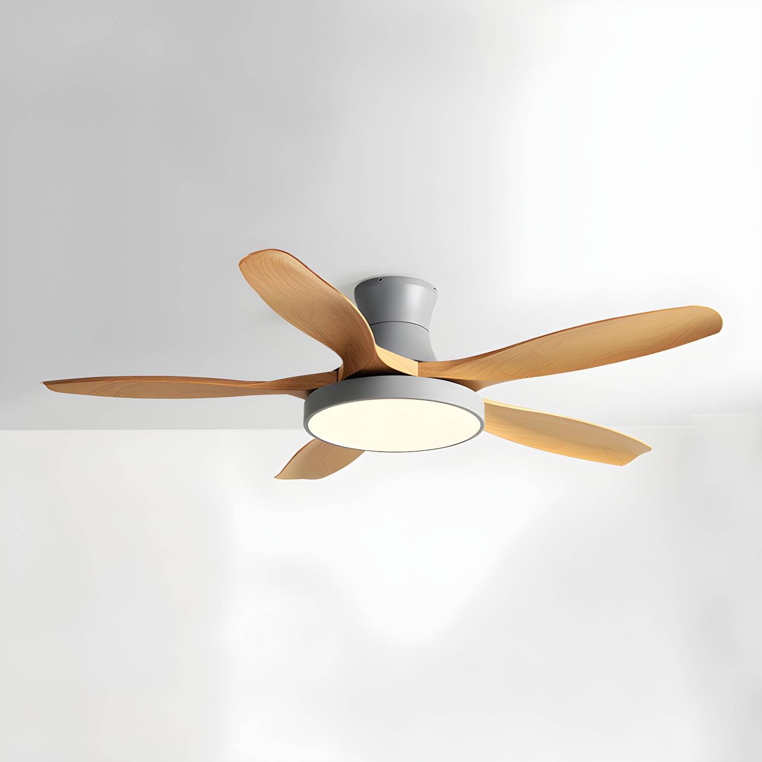 Imported image 440ad7762534 5642770.jpg